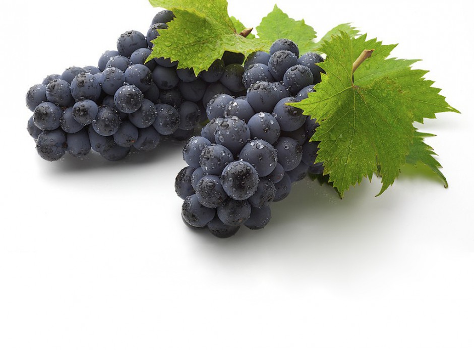 六大水果對卵巢保養(yǎng)好處多 好吃又養(yǎng)巢