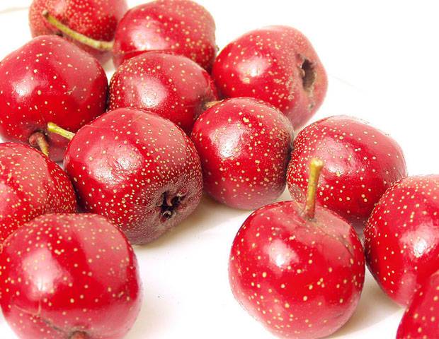 這七種食物預防女性卵巢早衰