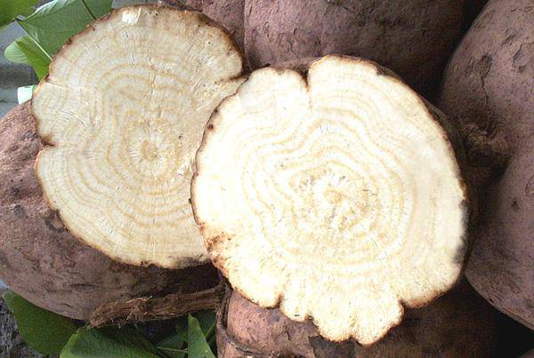 卵巢早衰是哪些因素造成 這4種食物助你調(diào)理