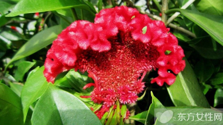 陰道炎可以根治嗎 治療陰道炎的食療方法推薦