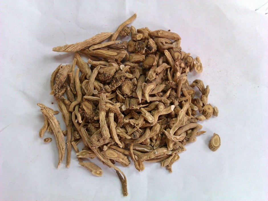 尿道炎怎么辦 治療尿道炎的中藥材有哪些