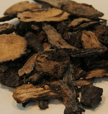 肉蓯蓉的功效與作用 肉蓯蓉的藥理作用