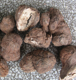 滋補藥材 葛根白芍解除三高困擾