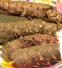 紅景天的功效與作用 紅景天食療方