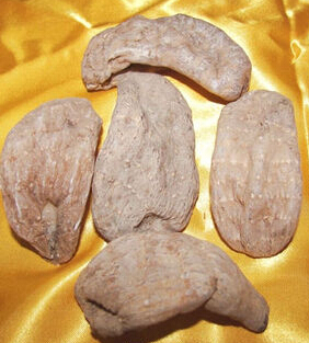 天麻的功效與作用 天麻的藥理作用