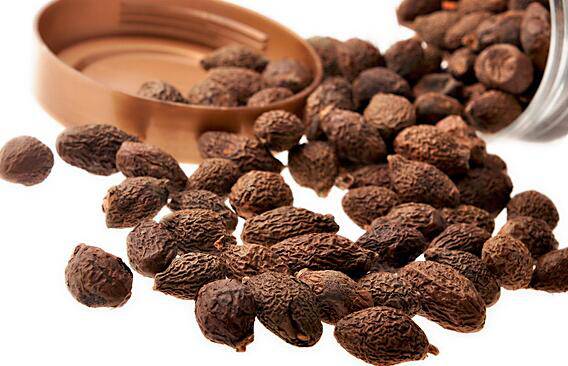 胖大海的功效與作用 哪類人群不宜食用