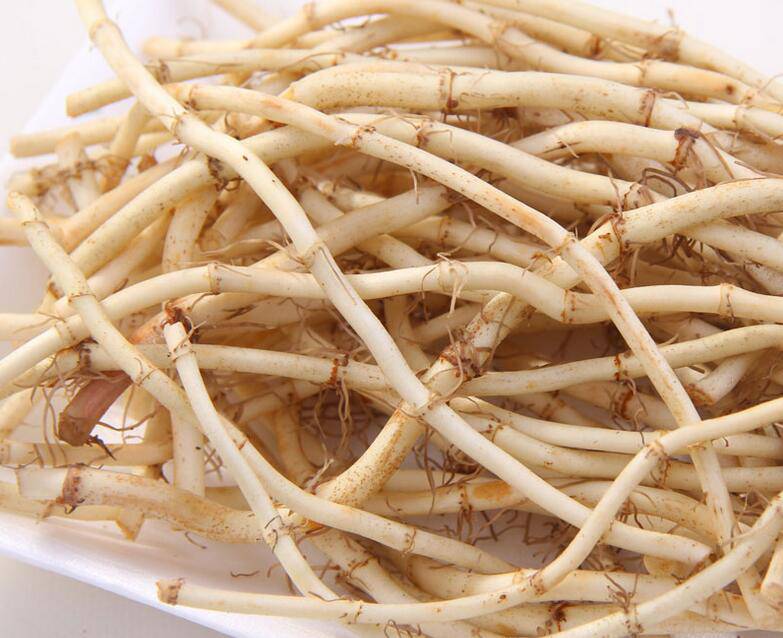 深究魚(yú)腥草的功效 魚(yú)腥草還能這樣吃