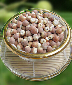 芡實的功效與作用 調(diào)整脾胃芡實粥的做法