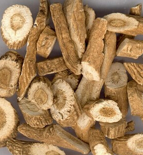 板藍(lán)根的功效 涼血消腫利咽功效