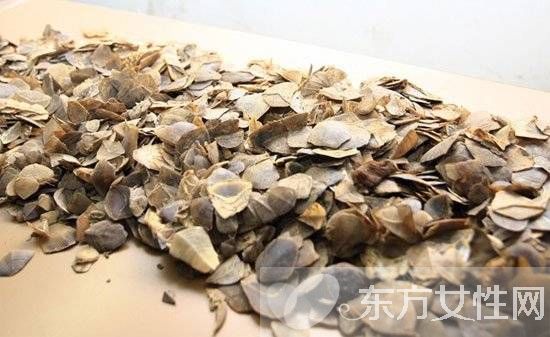 穿山甲鱗片的作用 食用方法與禁忌