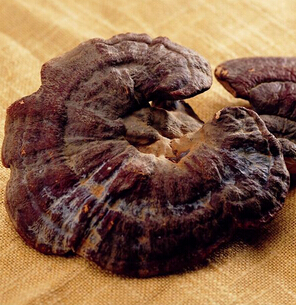 抗癌中藥 抗癌中藥首選靈芝效果突出