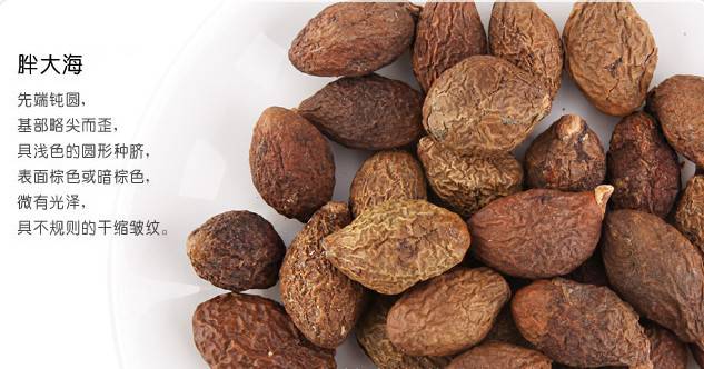 胖大海的功效與作用 哪類人群不宜食用