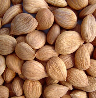 祛除痘印的食療方 桃仁陳皮飲消除黑色素