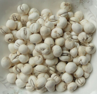 川貝的功效與作用 川貝的藥理作用