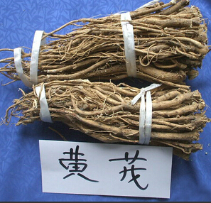 如何預(yù)防感冒 常服黃芪避免經(jīng)常性的感冒