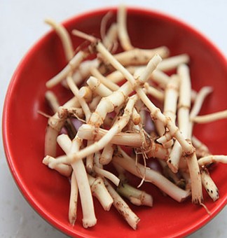 魚(yú)腥草的作用與功效 熱毒瘡瘍