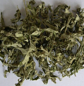 艾葉泡腳有什么好處 可治療月經(jīng)不調(diào)