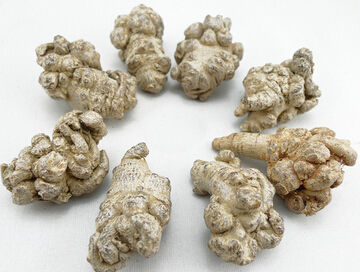 三七的最佳拍擋 白芨三七止血作用效果好