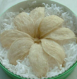 燕窩是什么 燕窩的由來
