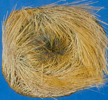 麝香的功效與作用 麝香有哪些藥理用途