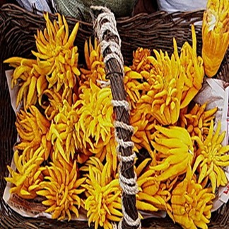 佛手的功效與作用 舒肝理氣和胃止痛