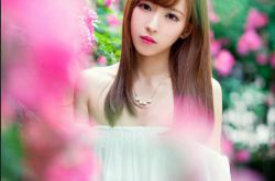 靈芝孢子粉的功效 靈芝孢子粉治療心血管