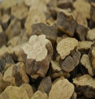 何首烏的功效與作用 食療價(jià)值與注意事項(xiàng)