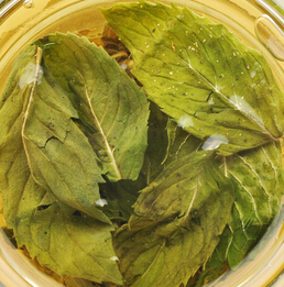 薄荷的功效 薄荷葉的飲用宜忌