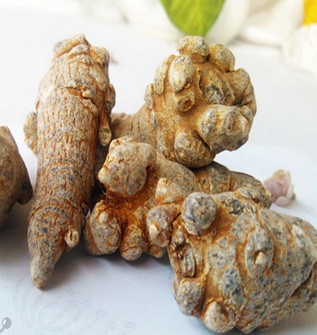 三七的功效與作用 三七增強(qiáng)免疫功能