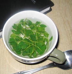 薄荷葉的功效與作用 薄荷防治各種疾病