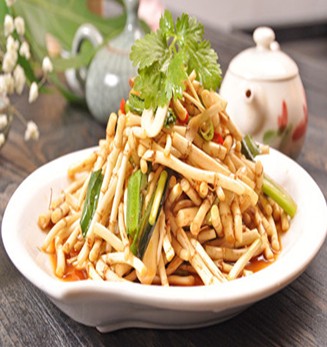 魚(yú)腥草的作用與功效 熱毒瘡瘍