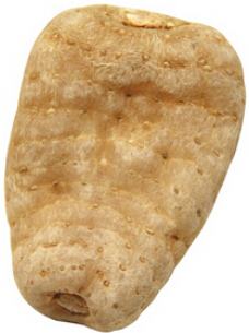 天麻的功效與作用 補腦強身增益力氣