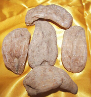 天麻的副作用 天麻的使用禁忌