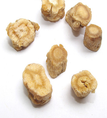 北沙參的功效與作用  祛痰止咳養(yǎng)肺潤肺