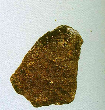 龍涎香是什么 龍涎香的功效作用有哪些