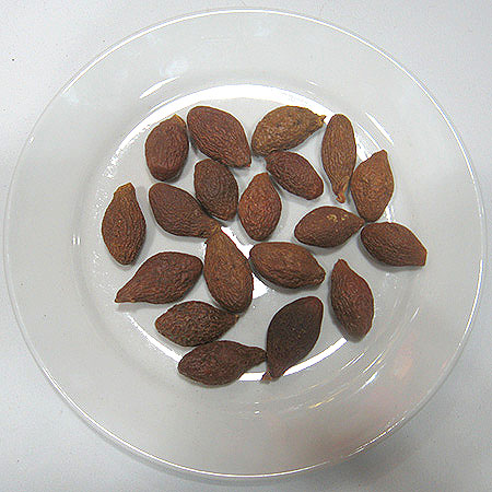 胖大海的作用有哪些 胖大海含片功效與作用