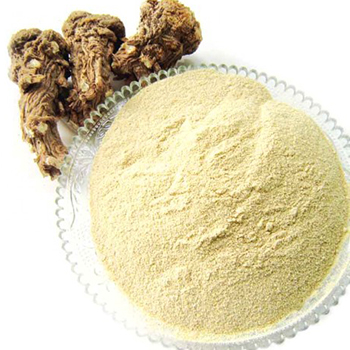 如何食用當(dāng)歸 當(dāng)歸的功效與作用及禁忌介紹