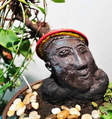 何首烏的產(chǎn)地與分布地區(qū)詳細(xì)介紹