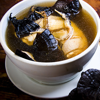 靈芝有什么食用價值 靈芝苦口滋補良湯