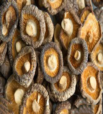 香菇的營養(yǎng)價(jià)值  香菇的功效與作用