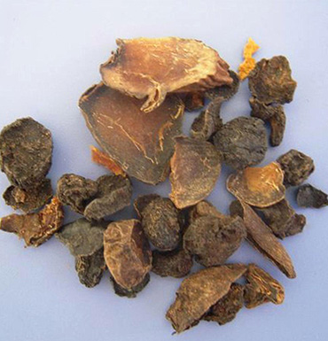 中藥川烏的炮制品制川烏 它的功效和藥理作用