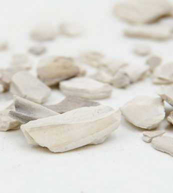 海蛤殼的功效特點 海蛤殼的藥方及配伍應用