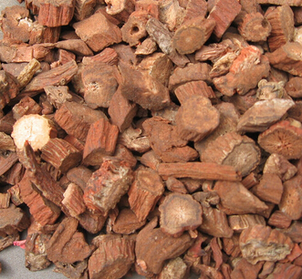 食用丹參的好處 丹參片的功效及食療價值