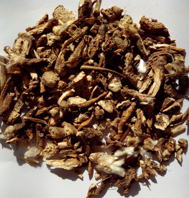 白頭翁的功效與作用 白頭翁的中藥附方