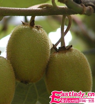 讓你越吃越瘦的18種食物