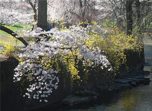 天秤座2017年4月運勢詳解