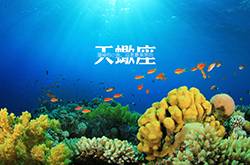 天蝎座的性格特點(diǎn)分析 天蝎座和什么座最配