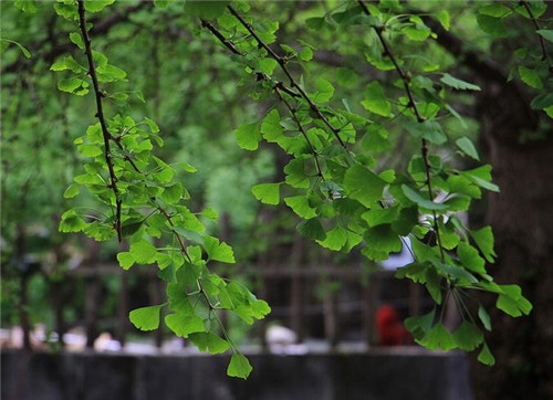 天蝎座2017年4月運勢詳解