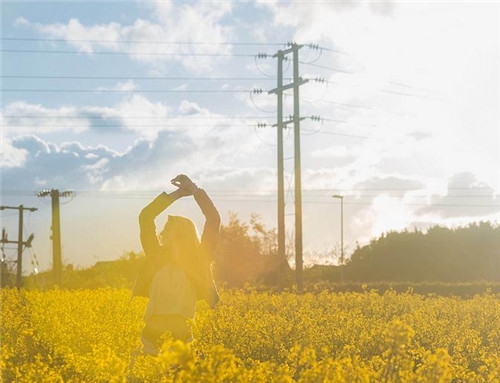 金牛座清明掃墓禁忌 清明假期這樣過