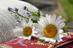 天蝎座清明掃墓禁忌 清明假期這樣過